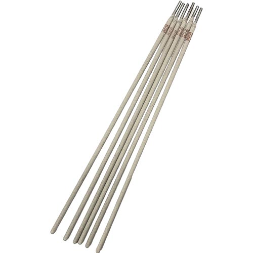 Hastelloy C276 Coated Electrode