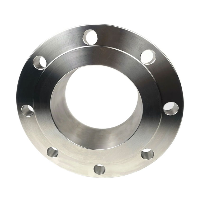 Hastelloy C276 Flanges