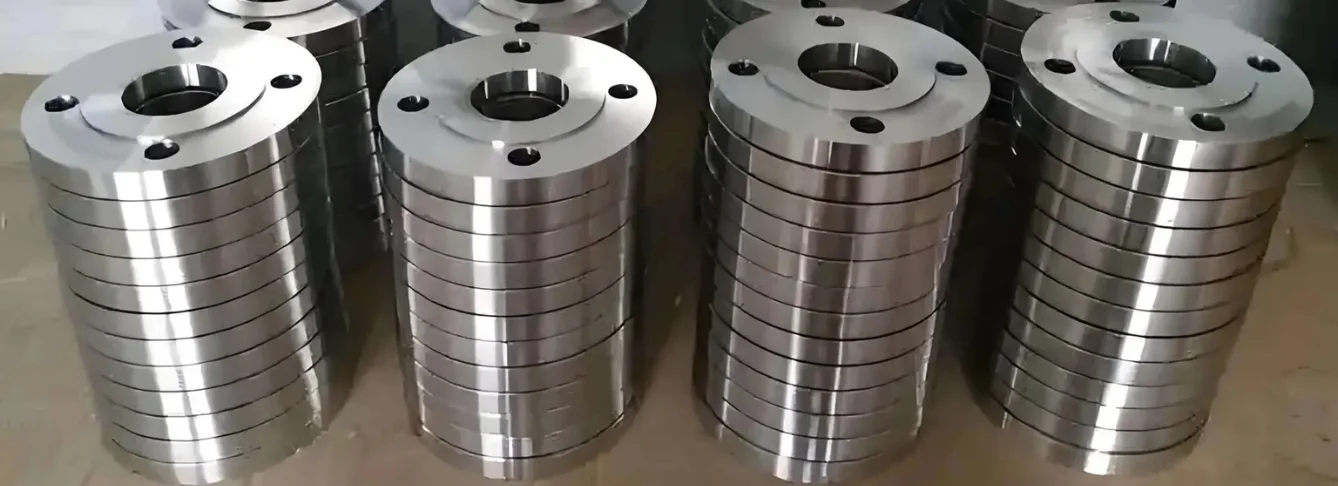 Titanium Flanges